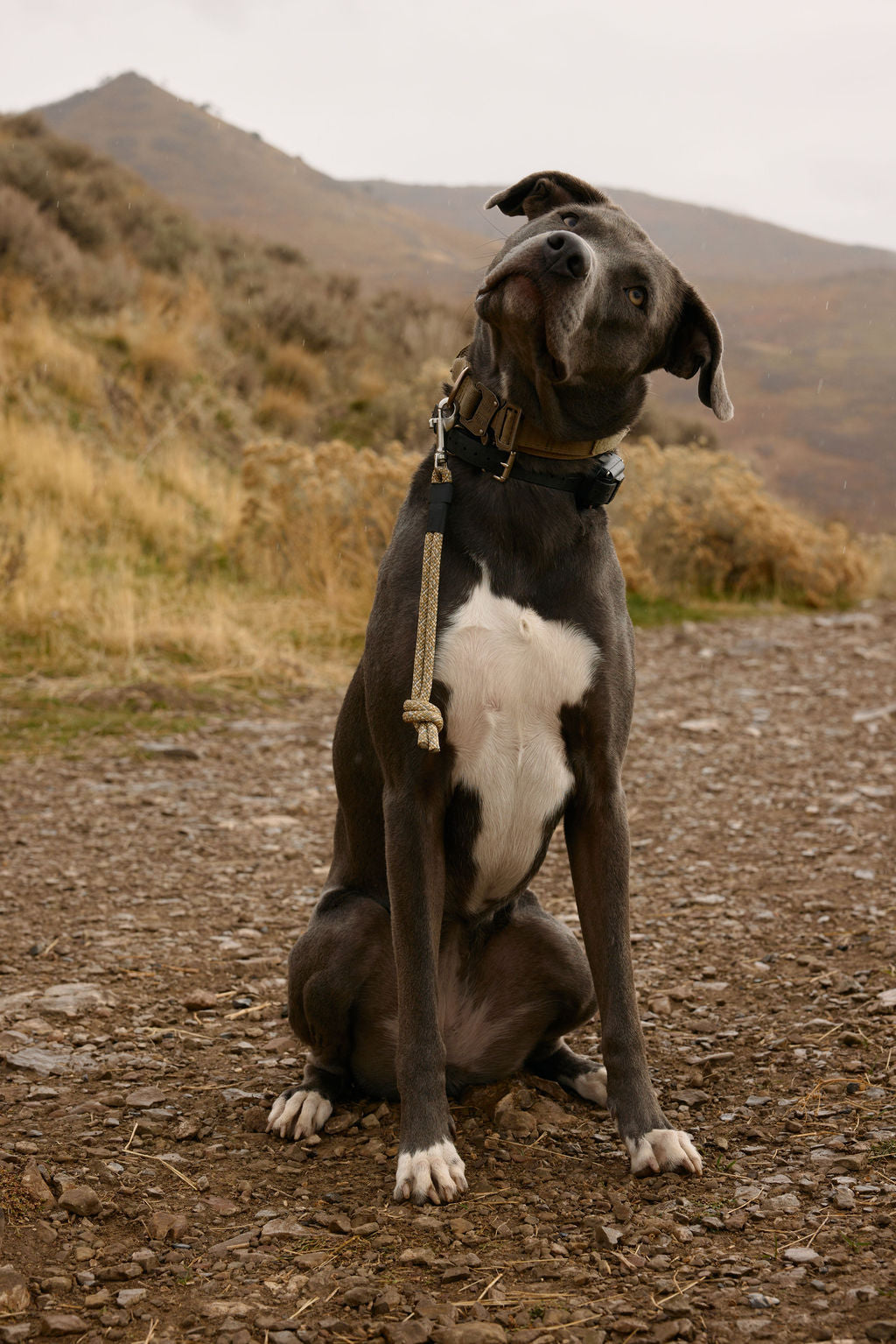 The DUNEY Knotted Grab Tabs