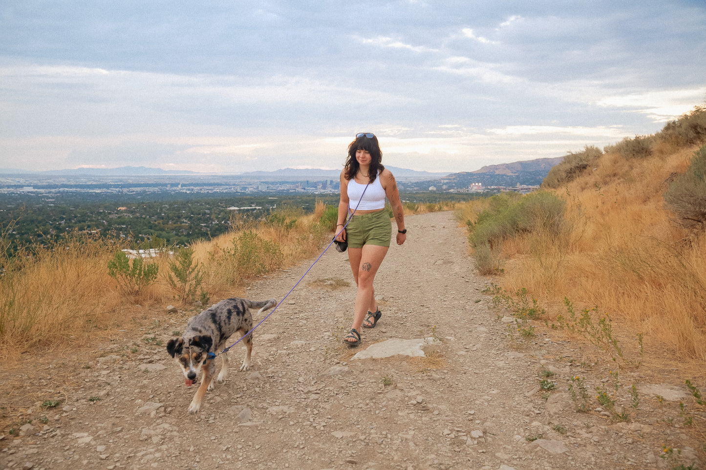 The DUNEY TrailClip Leashes
