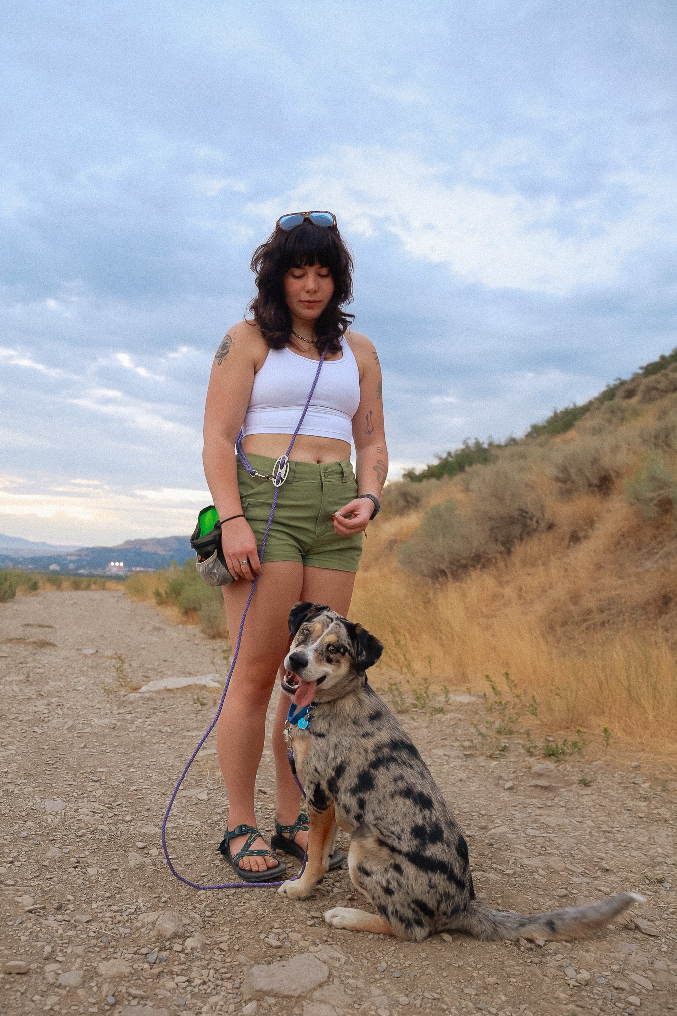 The DUNEY TrailClip Leashes