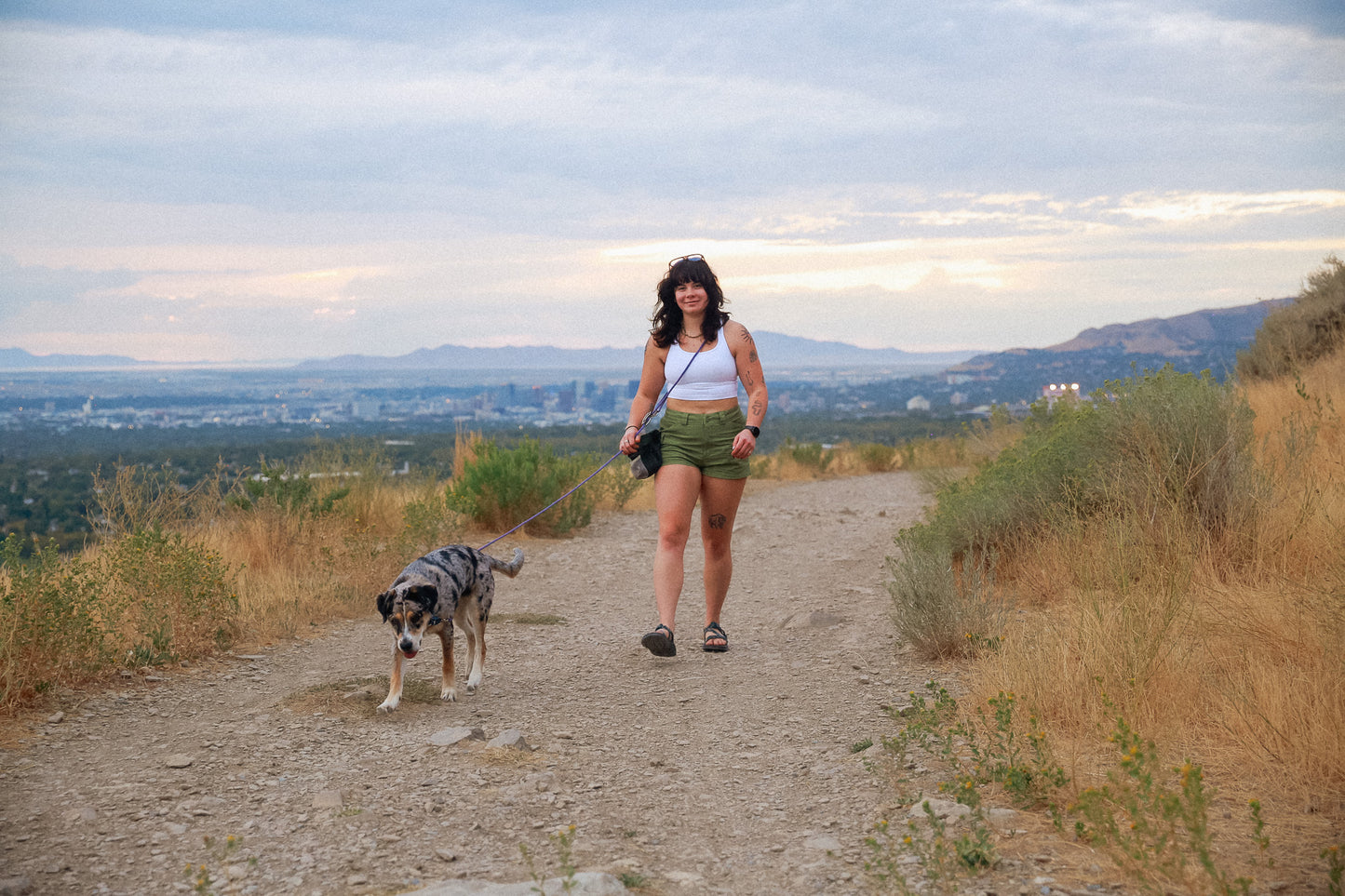 The DUNEY TrailClip Leashes