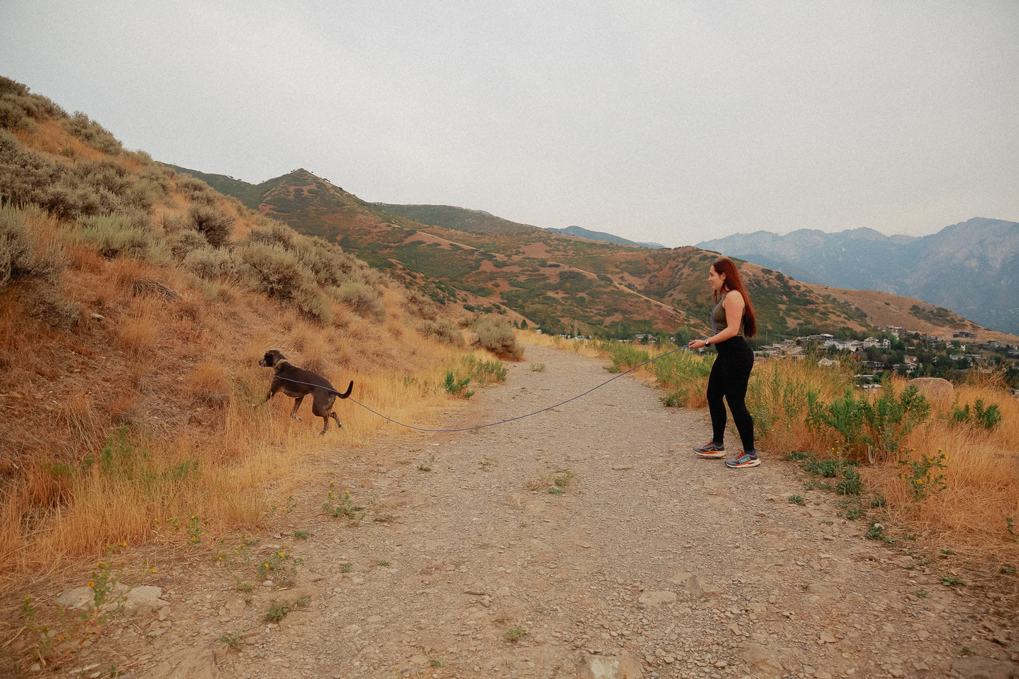 The DUNEY leashes