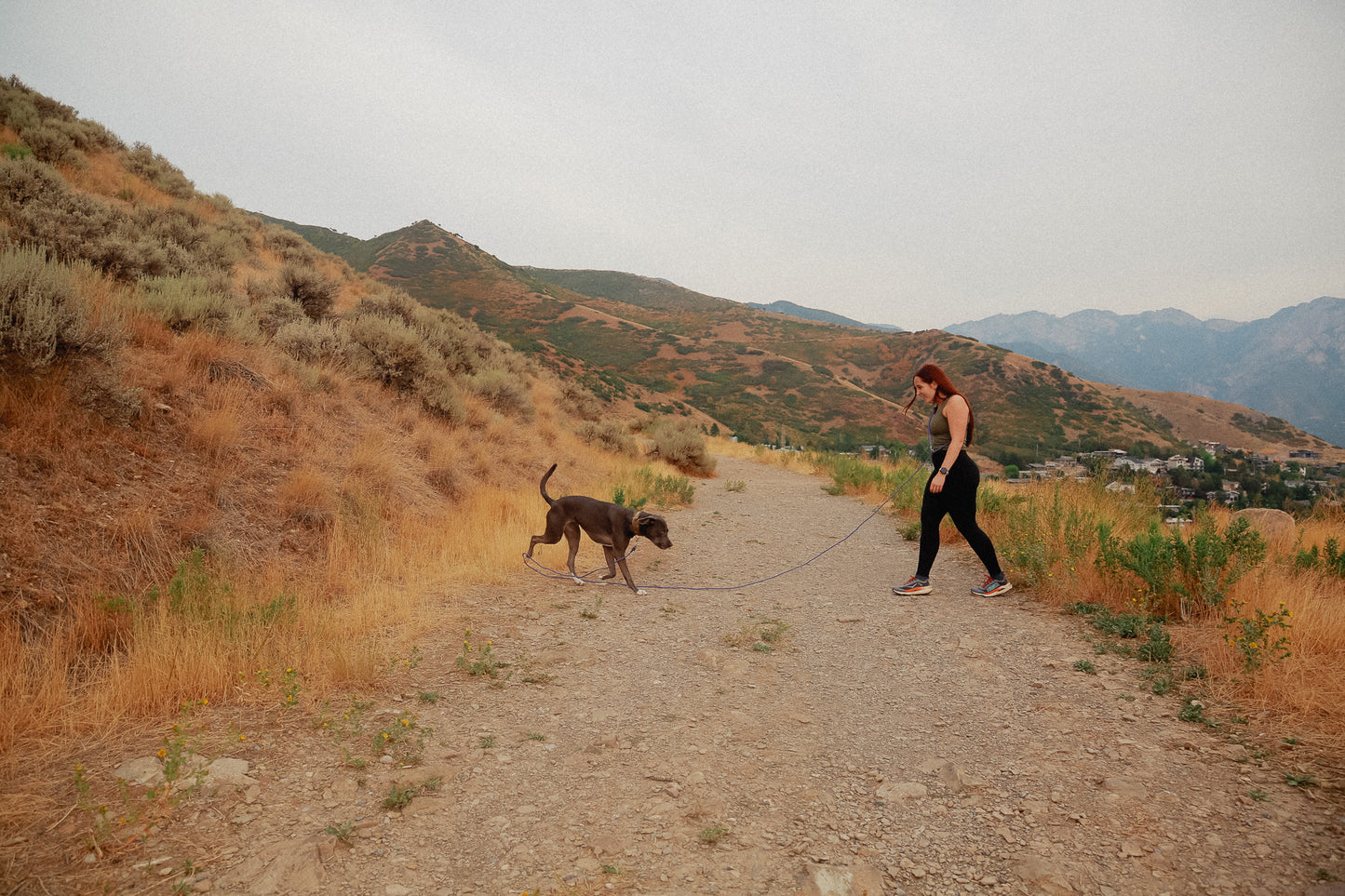 The DUNEY leashes
