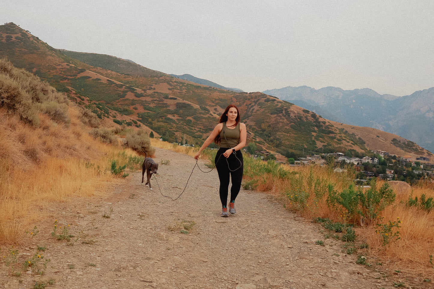The DUNEY leashes