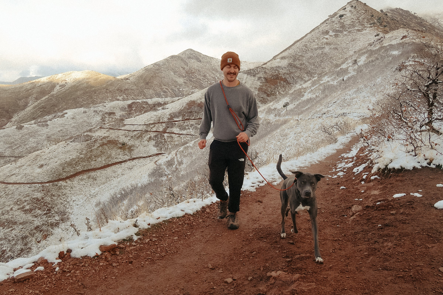 The DUNEY Leashes
