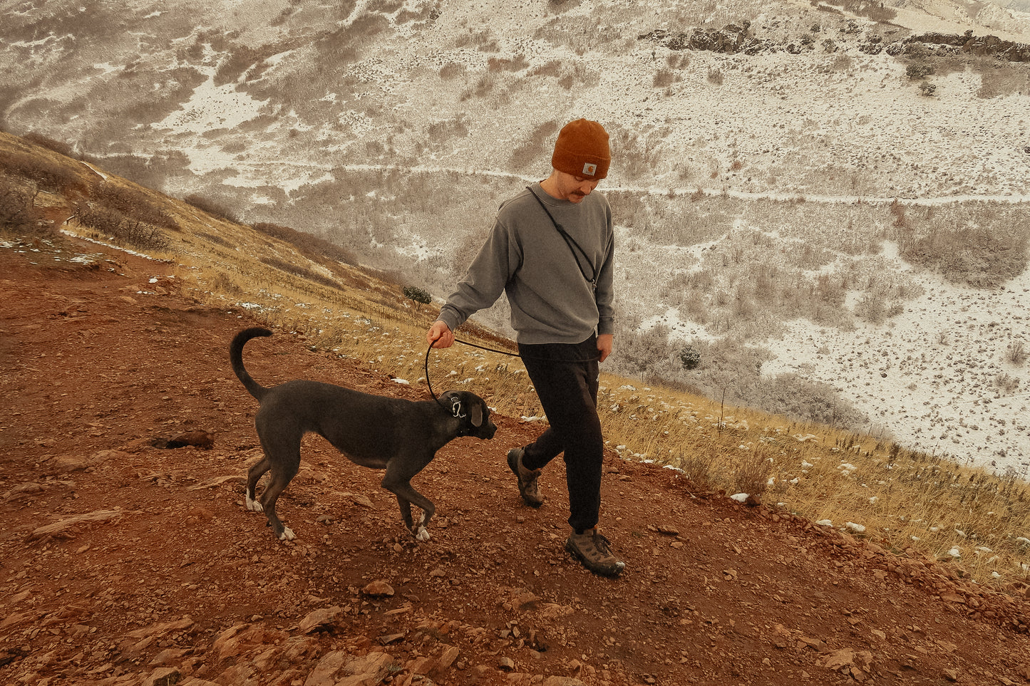 The DUNEY Leash