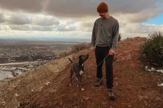 The DUNEY Leash