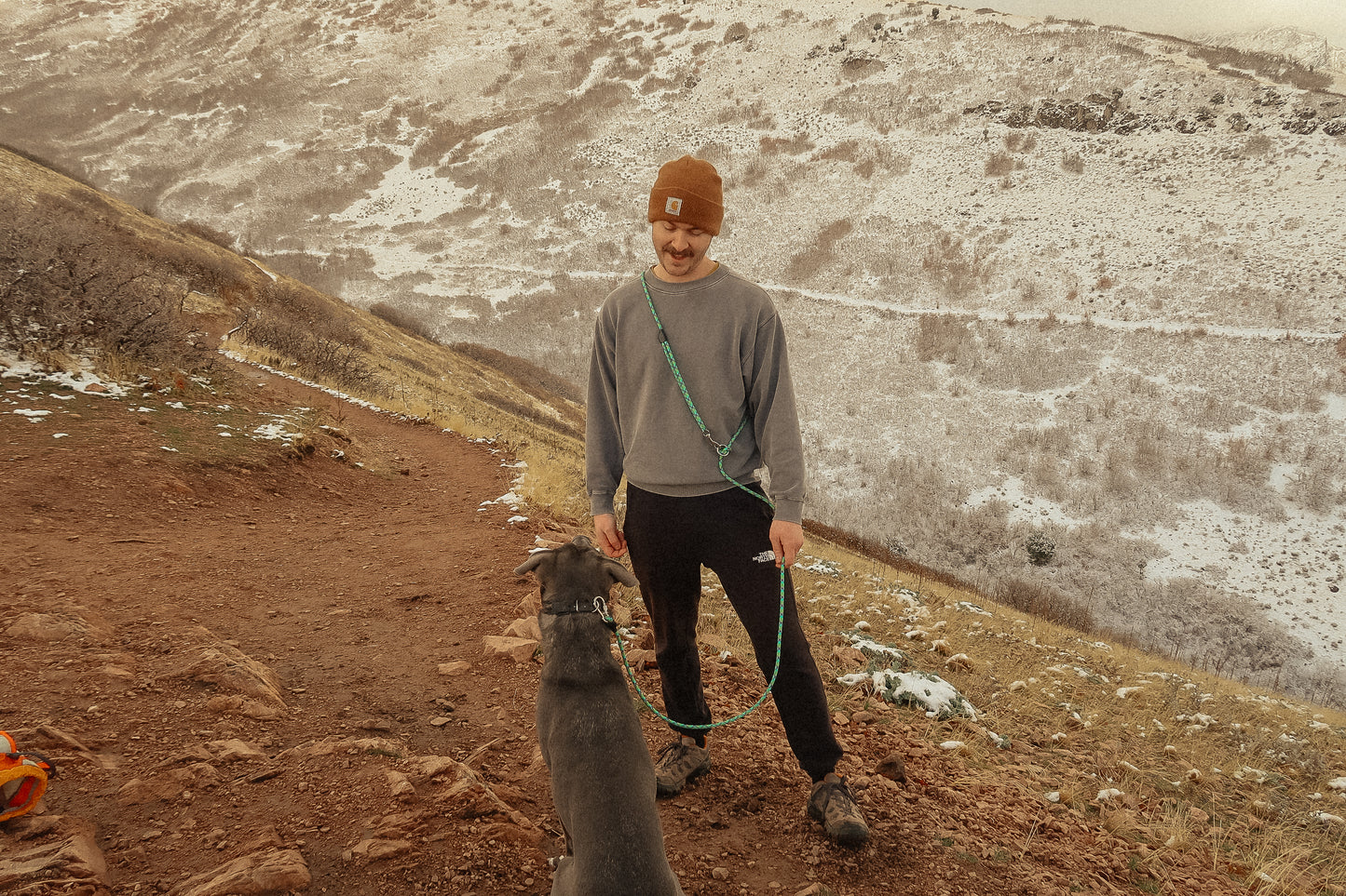 The DUNEY Leash