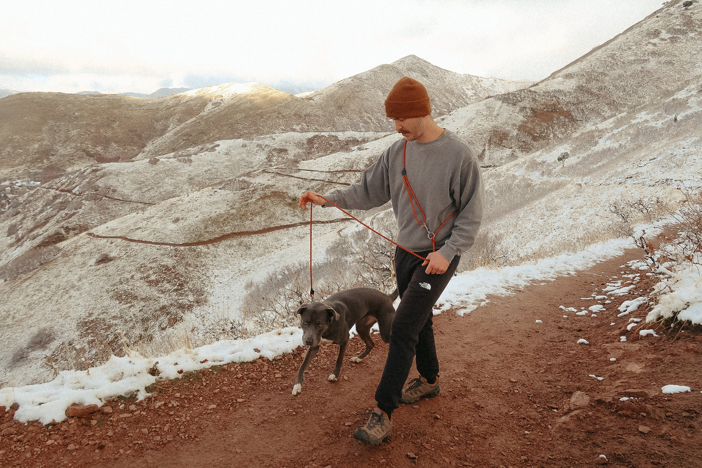 The DUNEY Leash