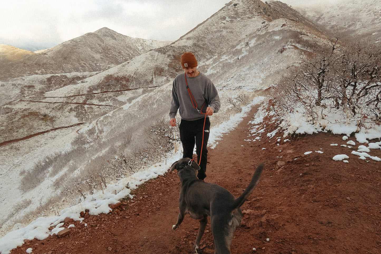 The DUNEY Leash