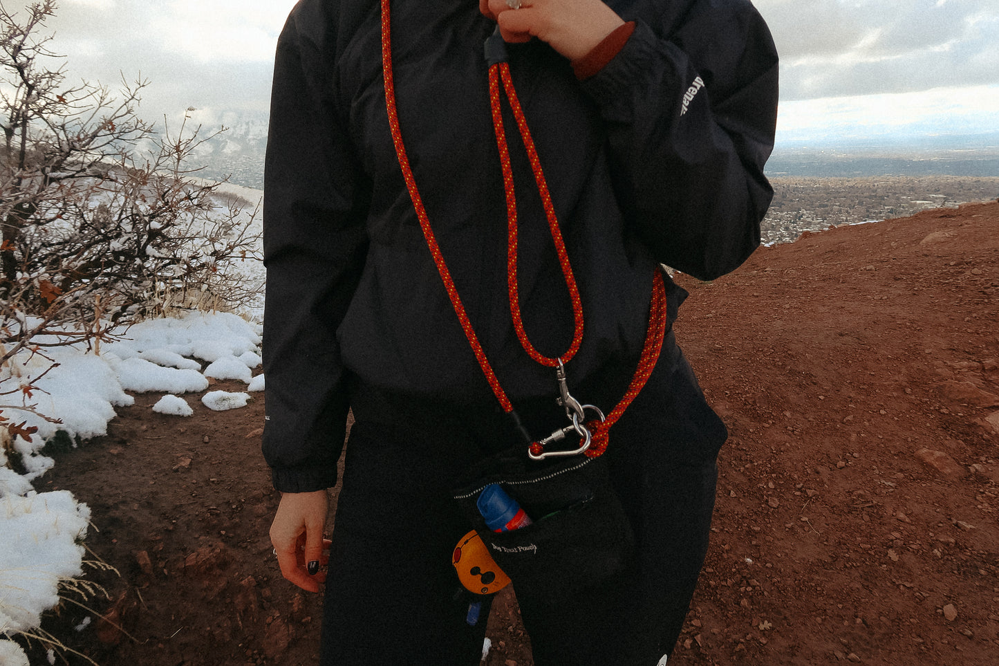 The DUNEY Leash