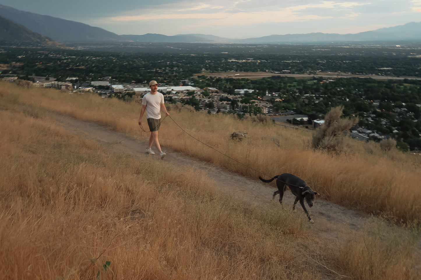 The DUNEY leashes