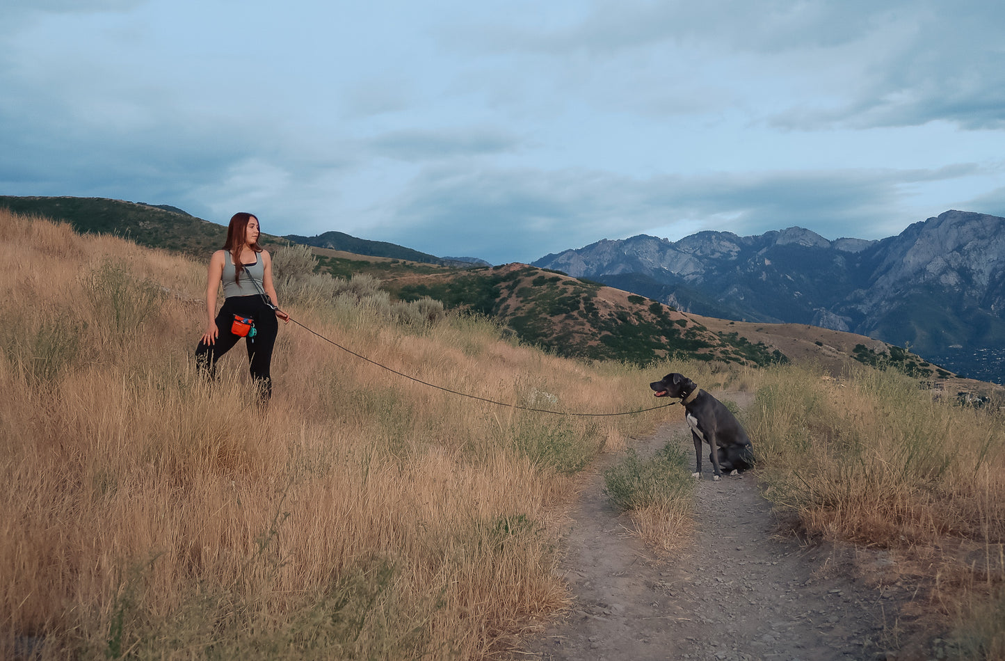 The DUNEY leashes