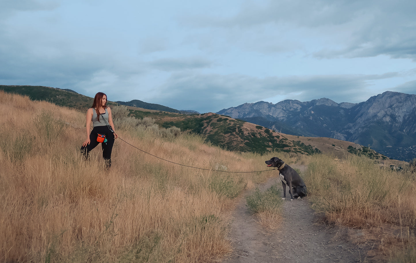 The DUNEY leashes