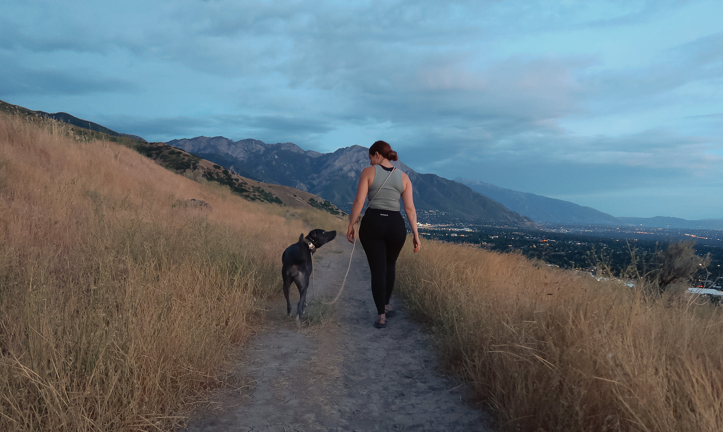 The DUNEY leashes