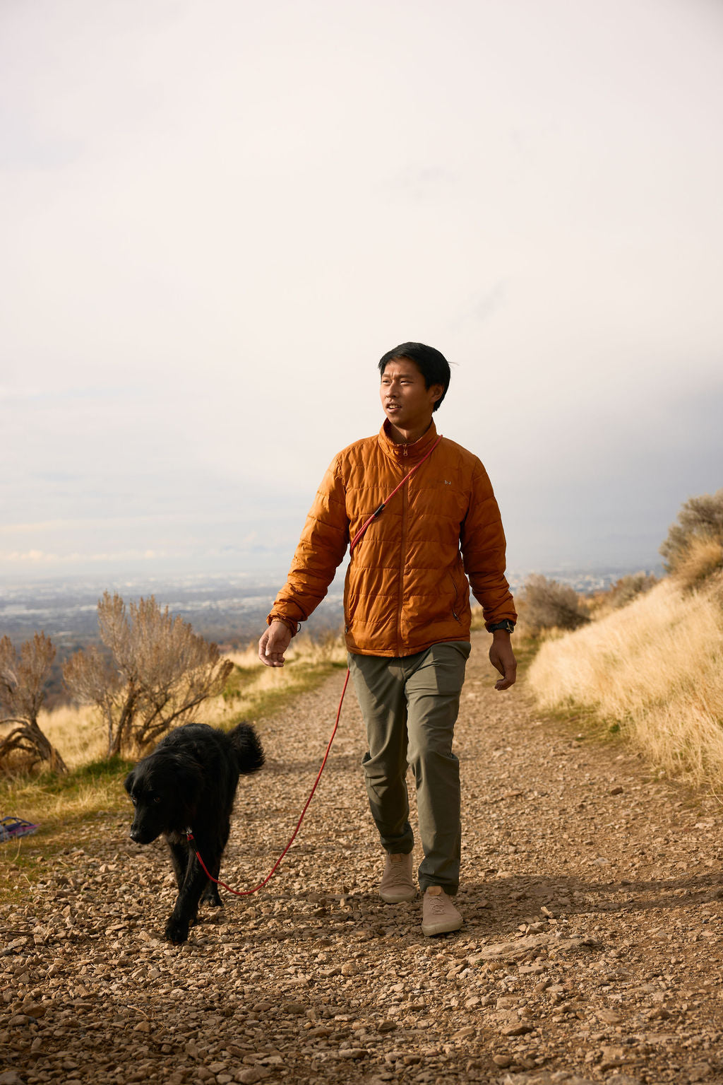 The DUNEY TrailClip Leashes