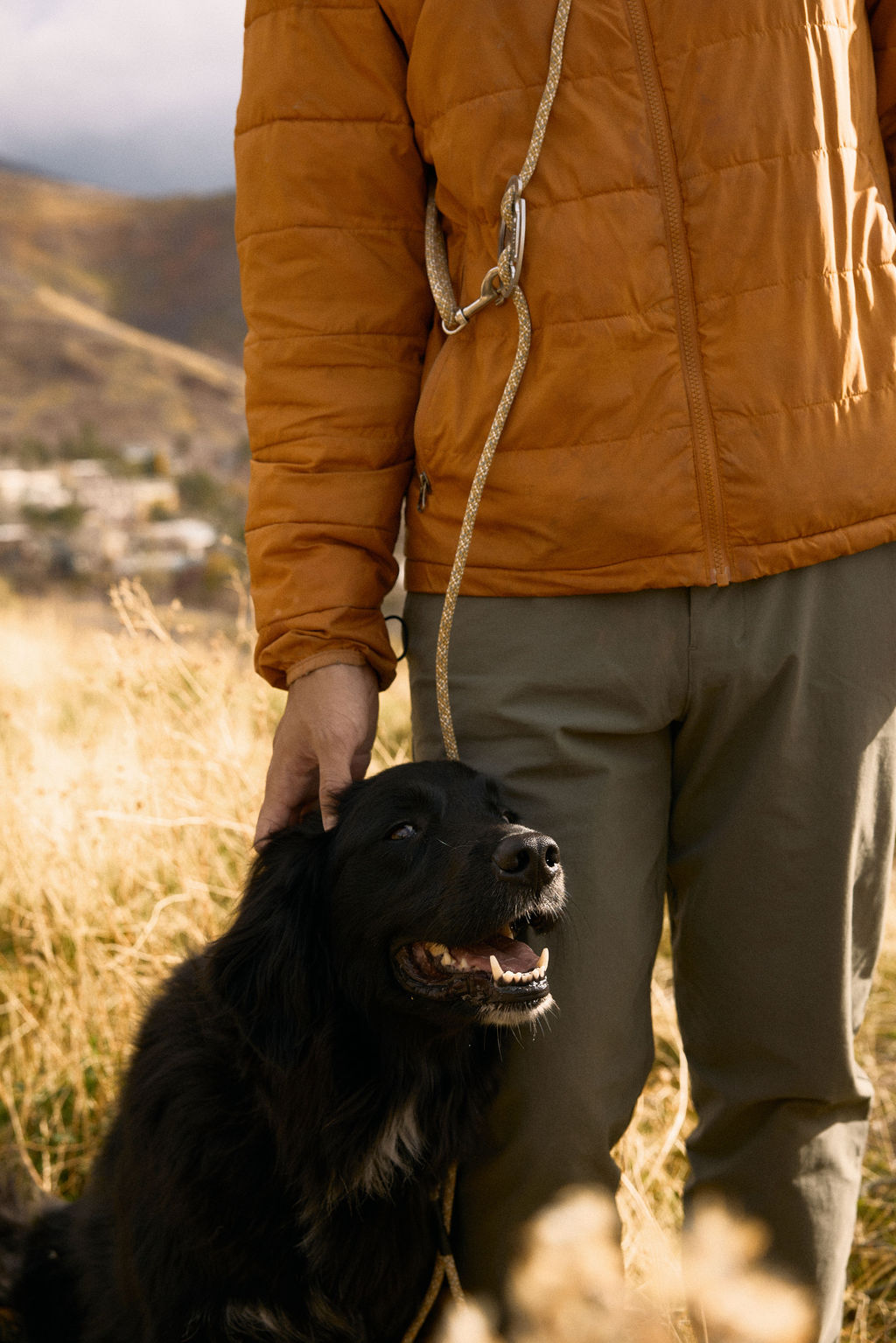 The DUNEY TrailClip Leashes