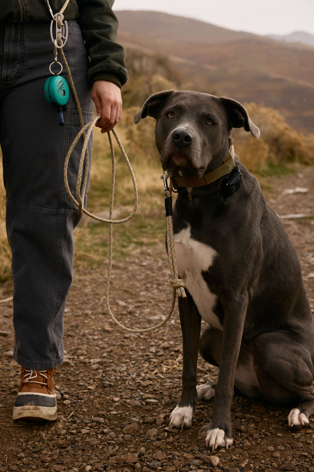 The DUNEY Knotted Grab Tabs