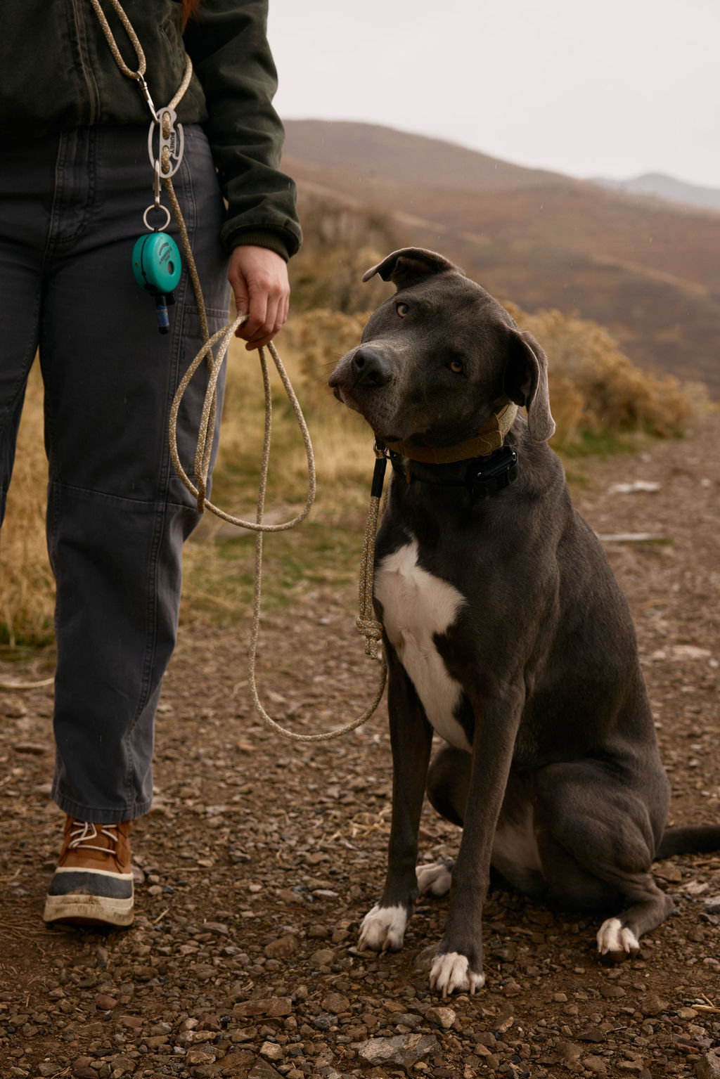 The DUNEY TrailClip Slips