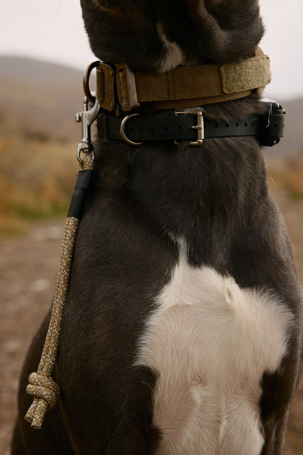 The DUNEY Knotted Grab Tabs