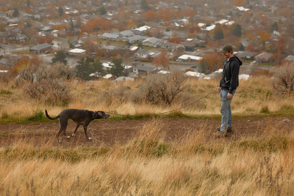The DUNEY TrailClip Leashes