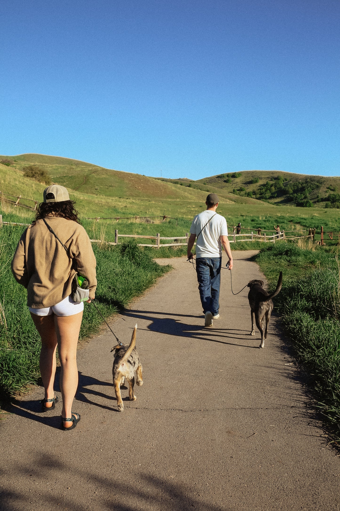 The DUNEY leashes