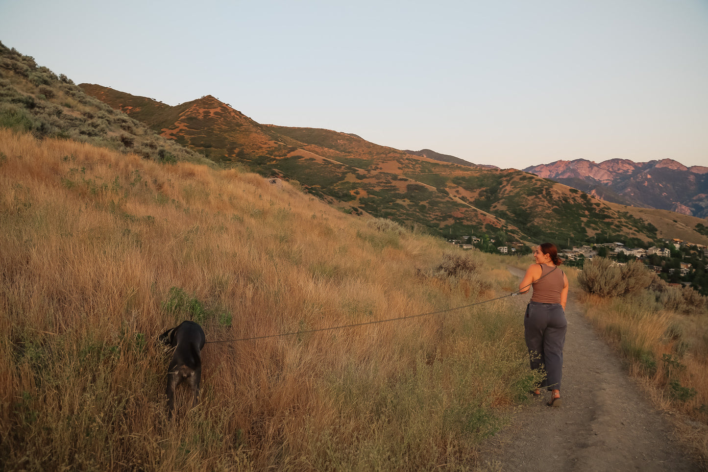 The DUNEY leashes