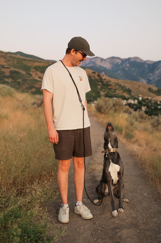 The DUNEY leashes