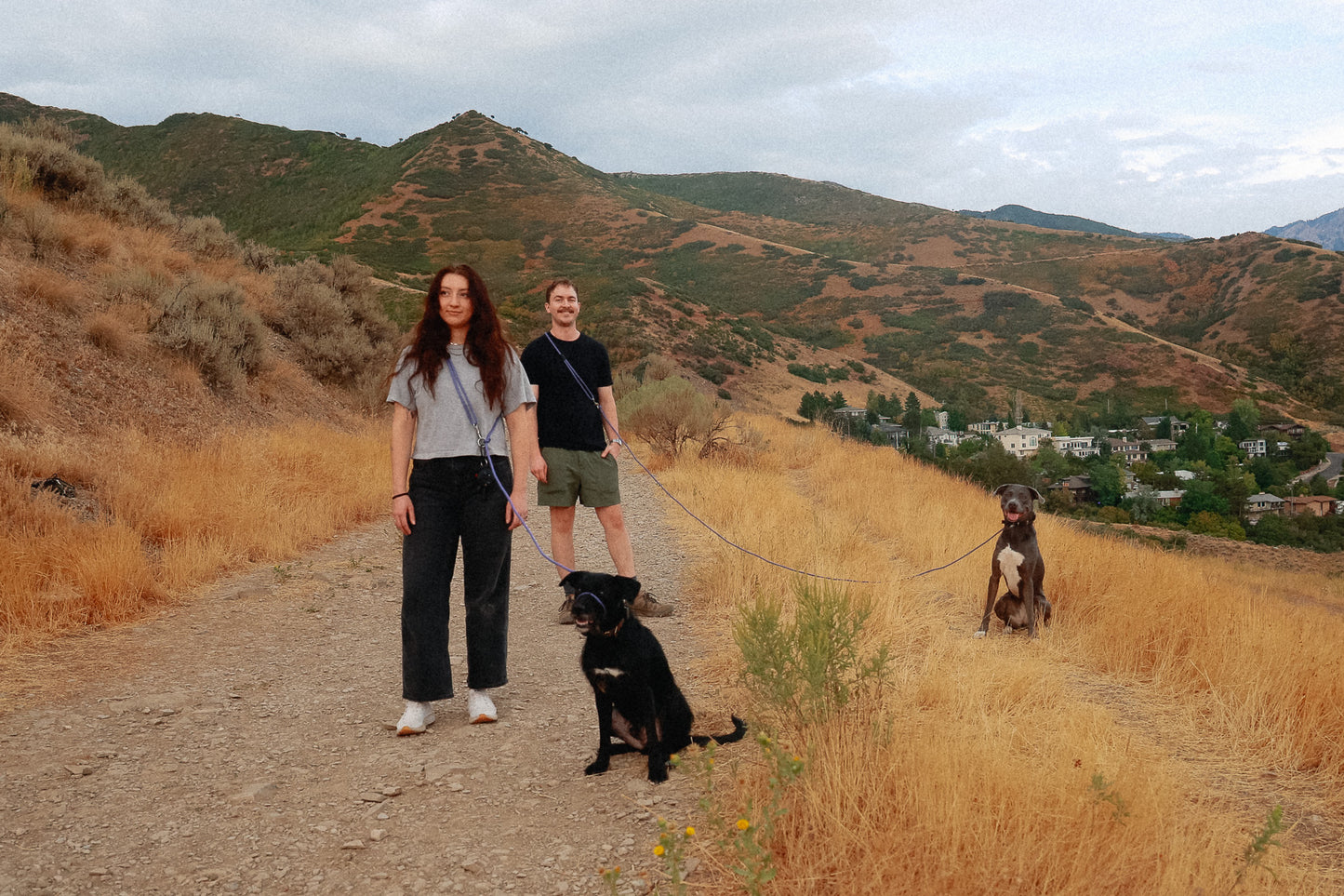 The DUNEY leashes