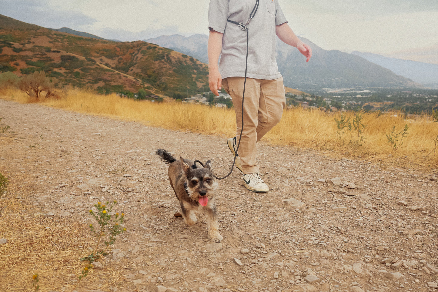 The DUNEY TrailClip Slips