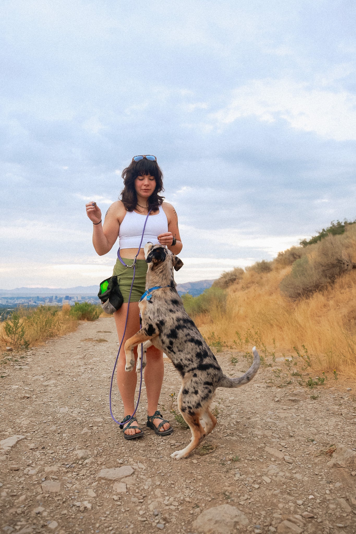 The DUNEY TrailClip Leashes