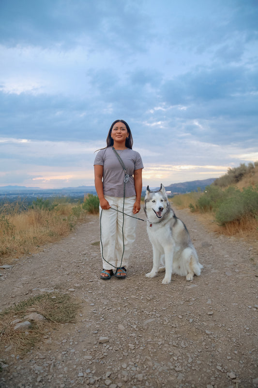 The DUNEY TrailClip Leashes