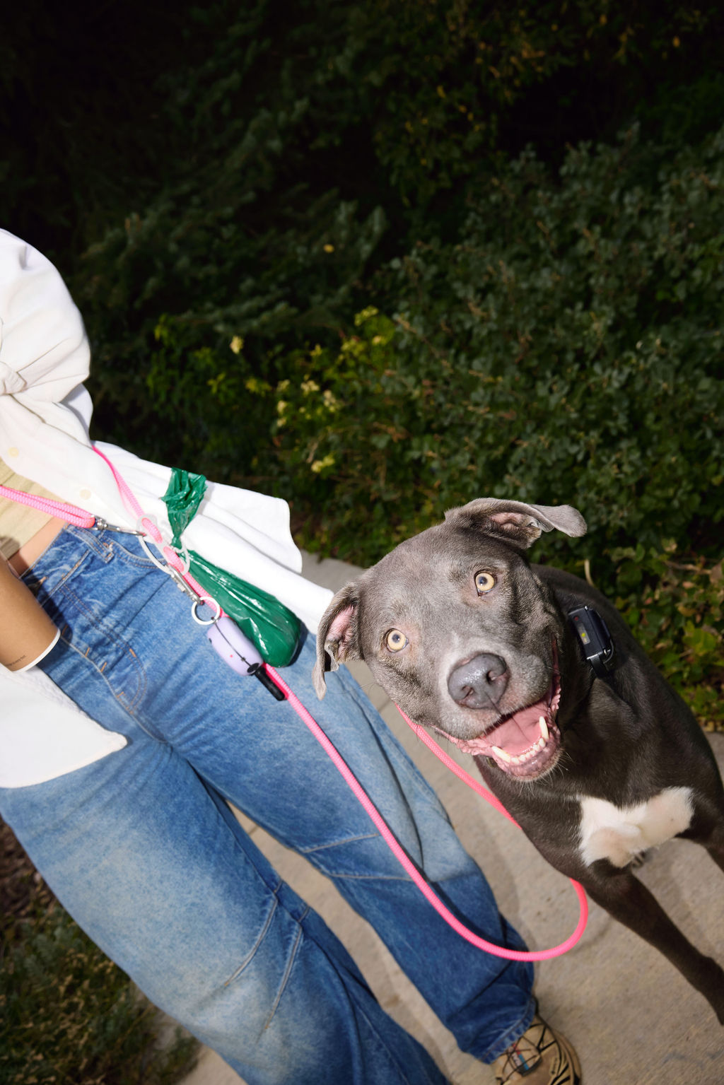 The DUNEY Hands-Free Leashes