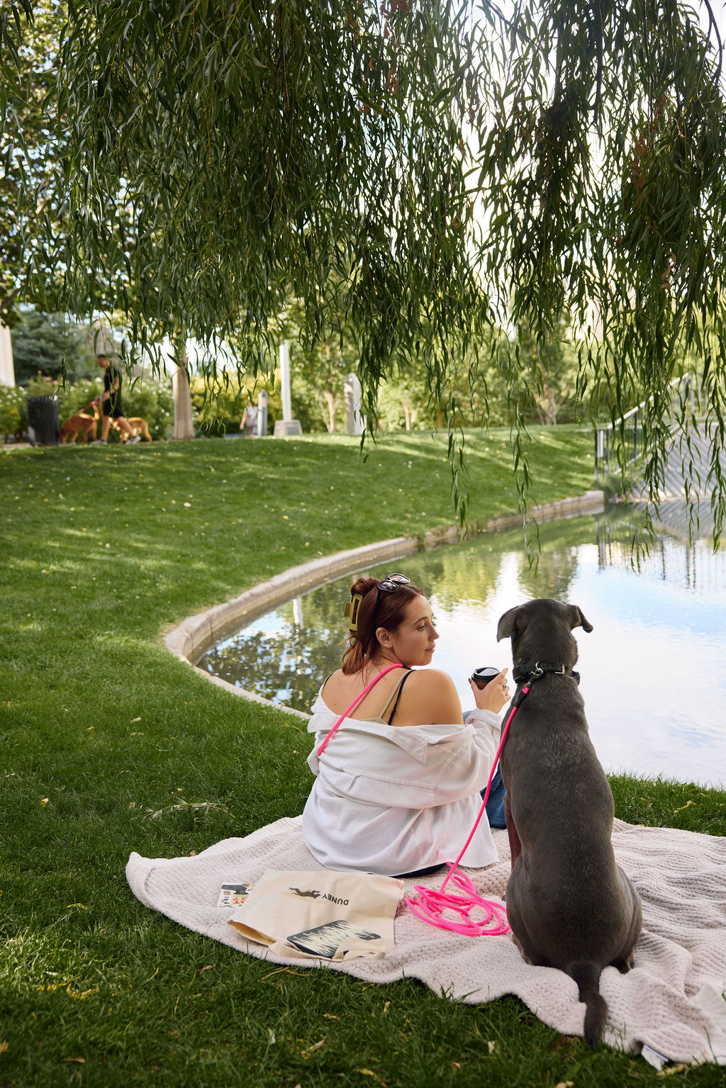 The DUNEY Hands-Free Leashes