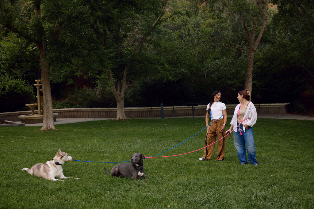 The DUNEY Hands-Free Leashes