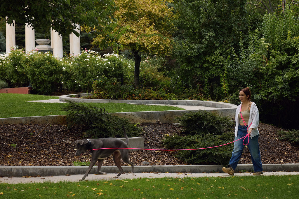 The DUNEY Hands-Free Leashes