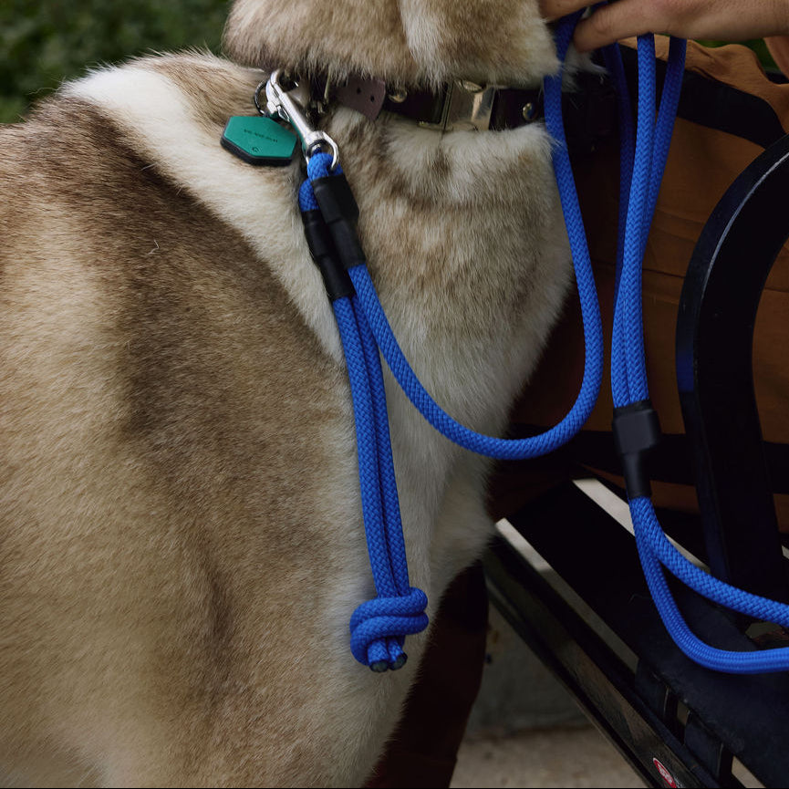 The DUNEY Knotted Grab Tabs