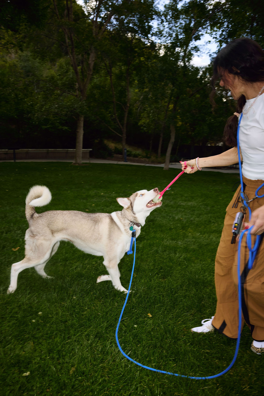 The DUNEY Hands-Free Leashes