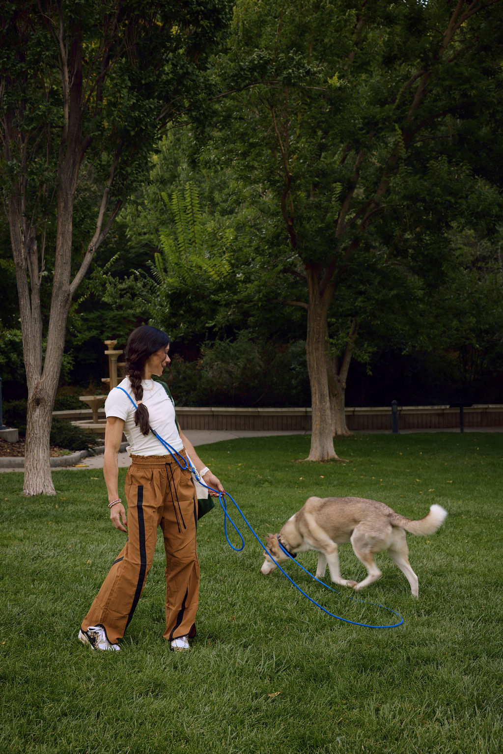The DUNEY Hands-Free Leashes