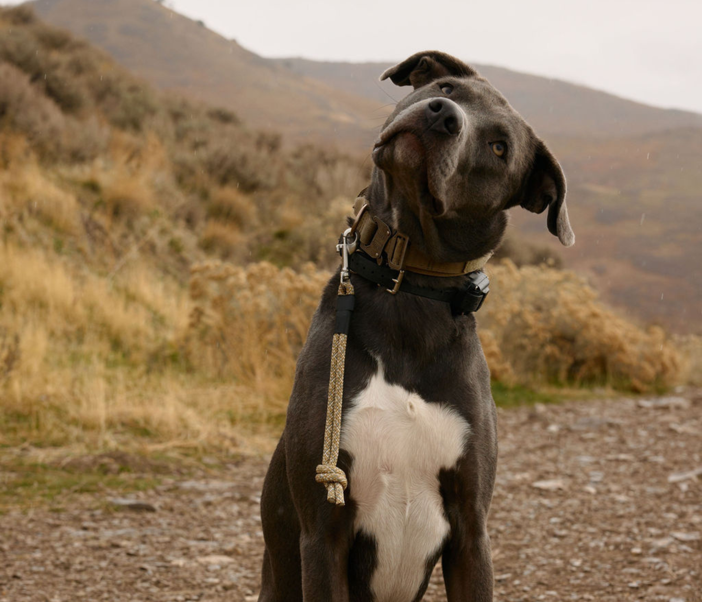 The DUNEY Knotted Grab Tabs