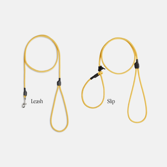 The DUNEY Hand-Held 5ft Shorts